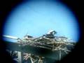 Osprey through the Telescope