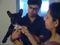 As Aventuras de Maguila - Part 1