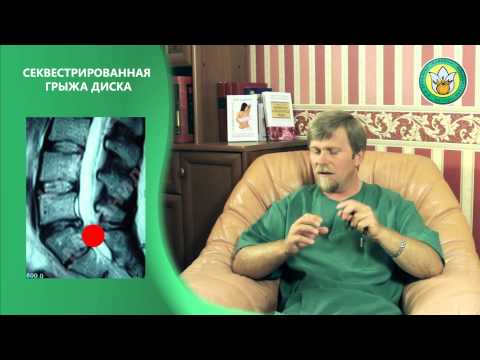 YouTube Трейлер