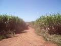 Assistir ao v�deo