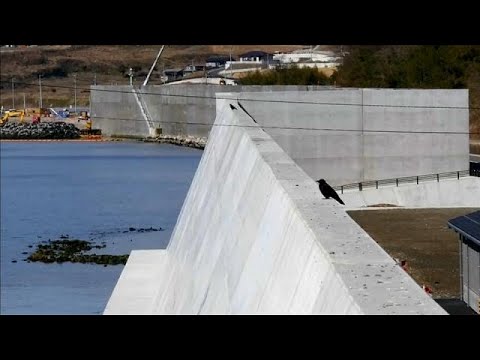 7 Jahre nach Fukushima: Tepcos