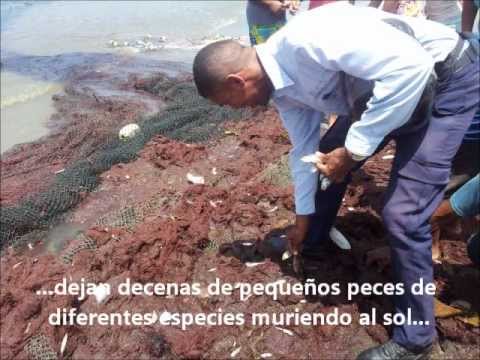 See video