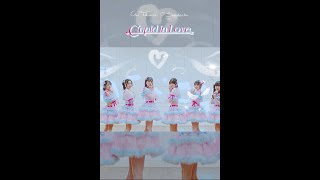Cho Tokimeki♡Sendenbu - "Cupid in Love" M/V 1C #shorts