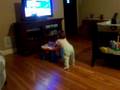 videos de Lilly's walker