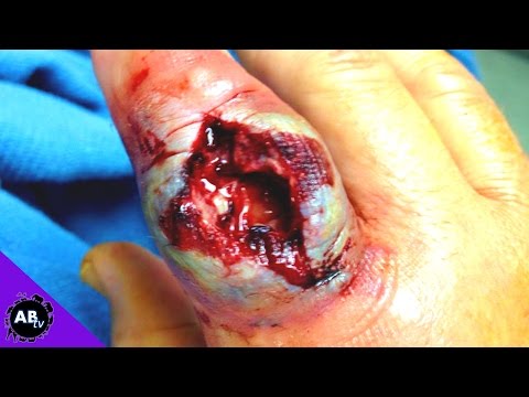 YouTube reptile video