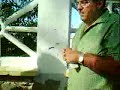 Se escapan 7 toros en Cádiz