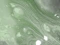 dreamlogicc - clik und drag