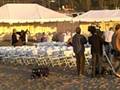 videos de Starz- Head Case On Location