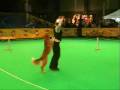 videos de dansje kortrijk