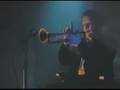 "Blaulicht und Zwielicht" , Element of crime