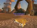 Wealth on Warcraft - Fast Cash Under 20