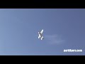 Cessna 182 Large Scale