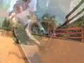 danny way: ollie blunt
