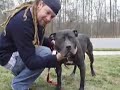 russell-watson-takes-a-bat-and-kills-the-puppy-and-laughed.html