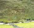 conoc las plantaciones