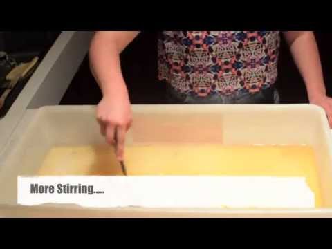 how to isolate acetobacter