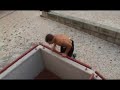 Parkour em Telheiras