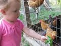gracie feeds the hens turnip greens