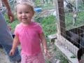 gracie feeds the hens turnip greens