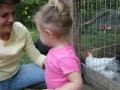 gracie feeds the hens turnip greens