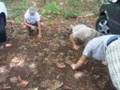 Push Up Punishment
