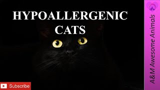 Hypoallergenic Cat Breeds