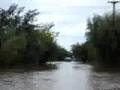 Santo Tome o Santa Venecia?