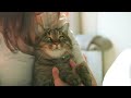 EOS7Dで動画撮影