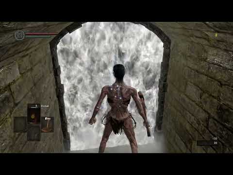 1. An SL1 runner is born, Dark Souls: Remastered