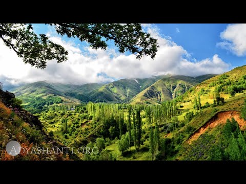 Adyashanti Guided Meditation: Meditation Is Already Happening