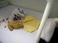 chambre pourrie