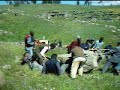 ERZURUM ŞENKAYA GÜLVEREN YAYLASI