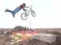 lesterbmx
