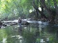 Sean Rocking the Fly Fishing