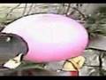 Mr. Choplin　in a pink balloon
