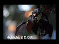 Nikon D90 Camera Test - Magic Hour