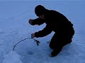 Ice fishing trout in Troms (Norway)