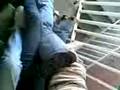 videos de vica nalgon