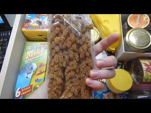 Вкусняшки своими руками для хомяка Вкусняшки своими руками для хомяка