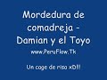 Damian y el Toyo - Mordedura de comadreja Mu Buena Damian y el Toyo - Mordedura de comadreja Mu Buena