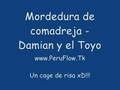 Damian y el Toyo - Mordedura de comadreja Mu Buena