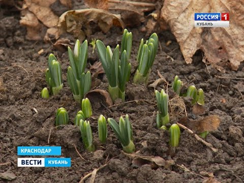 Смотреть