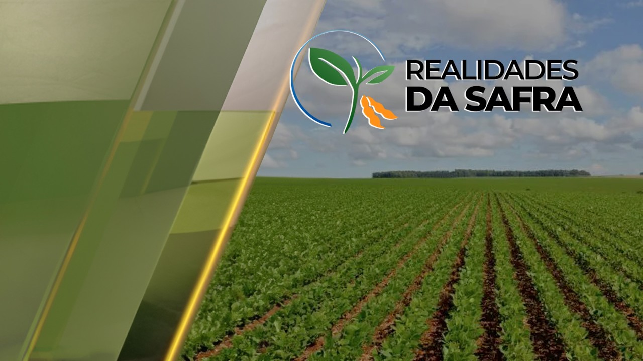 REALIDADES DA SAFRA - EDIÇÃO 17-06-2026