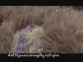 Shoo Jia Keng MV - Public Category