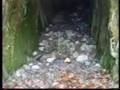 Le Miniere di Allumiere - Vol. 1