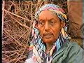 SOMALI RAXANWAYN HALGAMAA SHAATIGADUUT