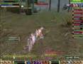 barbarian_x ( 4Land )