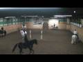 videos de Cedar Mills Classical Carousel Warm-Up
