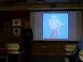 Part One Video  Fine Art exhibition Presentation