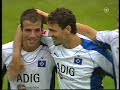 Rafael van der Vaart TOP 15 GOALS GOL